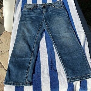 45. INC Denim Jeans, Skinny leg, regular fit, Crop, Size 2 EUC